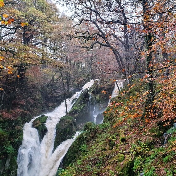 Stock Ghyll Force